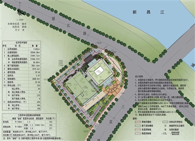 p29_b.jpg