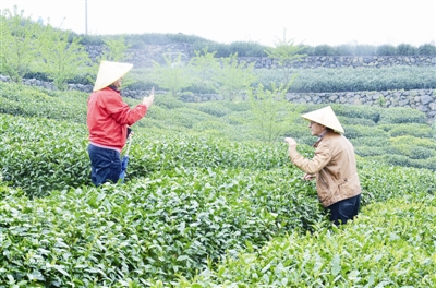 岩比乡人口_新加坡人口结构占比图(2)