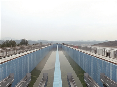 p3_b.jpg